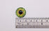 Glass Cabochon Iris Puppet Eyes - FROGGY - FurriFingers